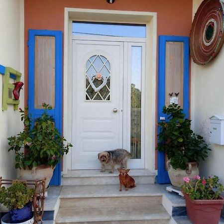 לינה וארוחת בוקר San Sperate Stanza Privata Casa Artistica Mariola מראה חיצוני תמונה